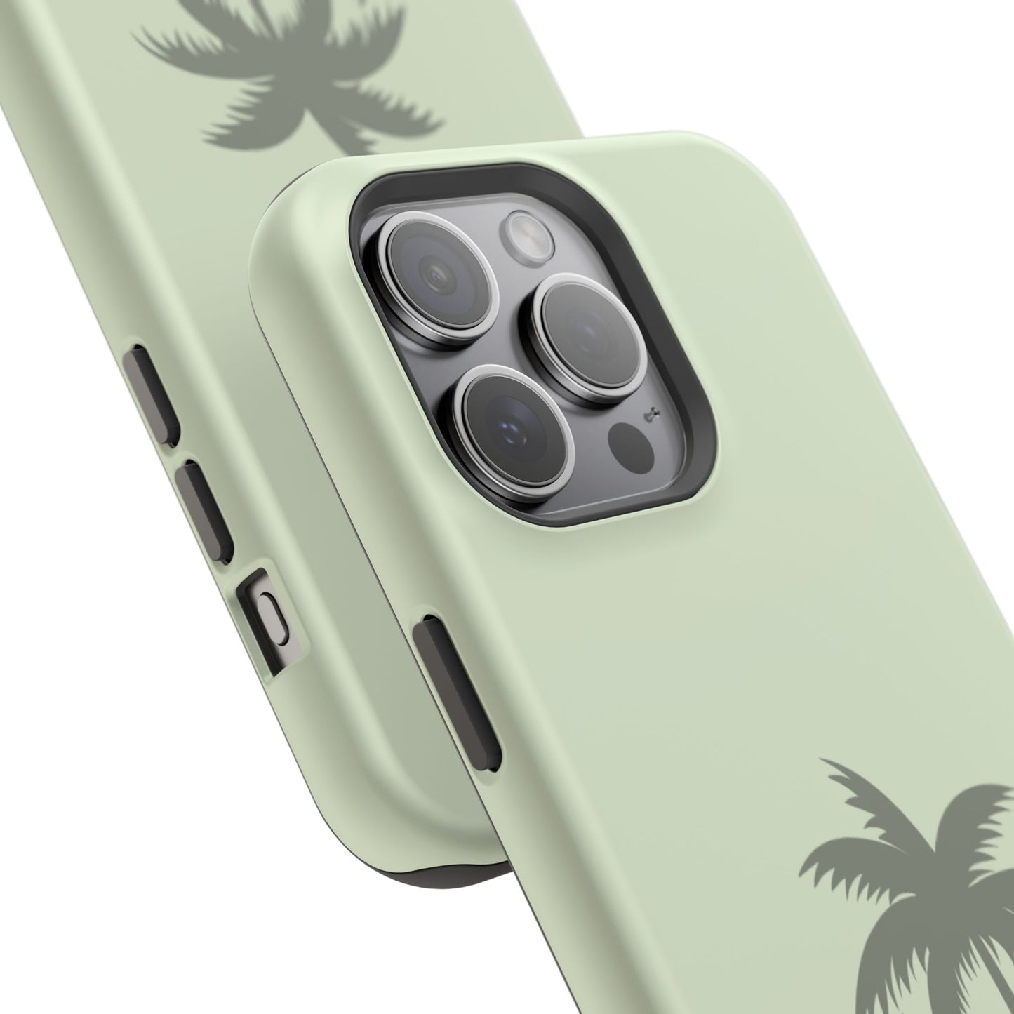 Palm