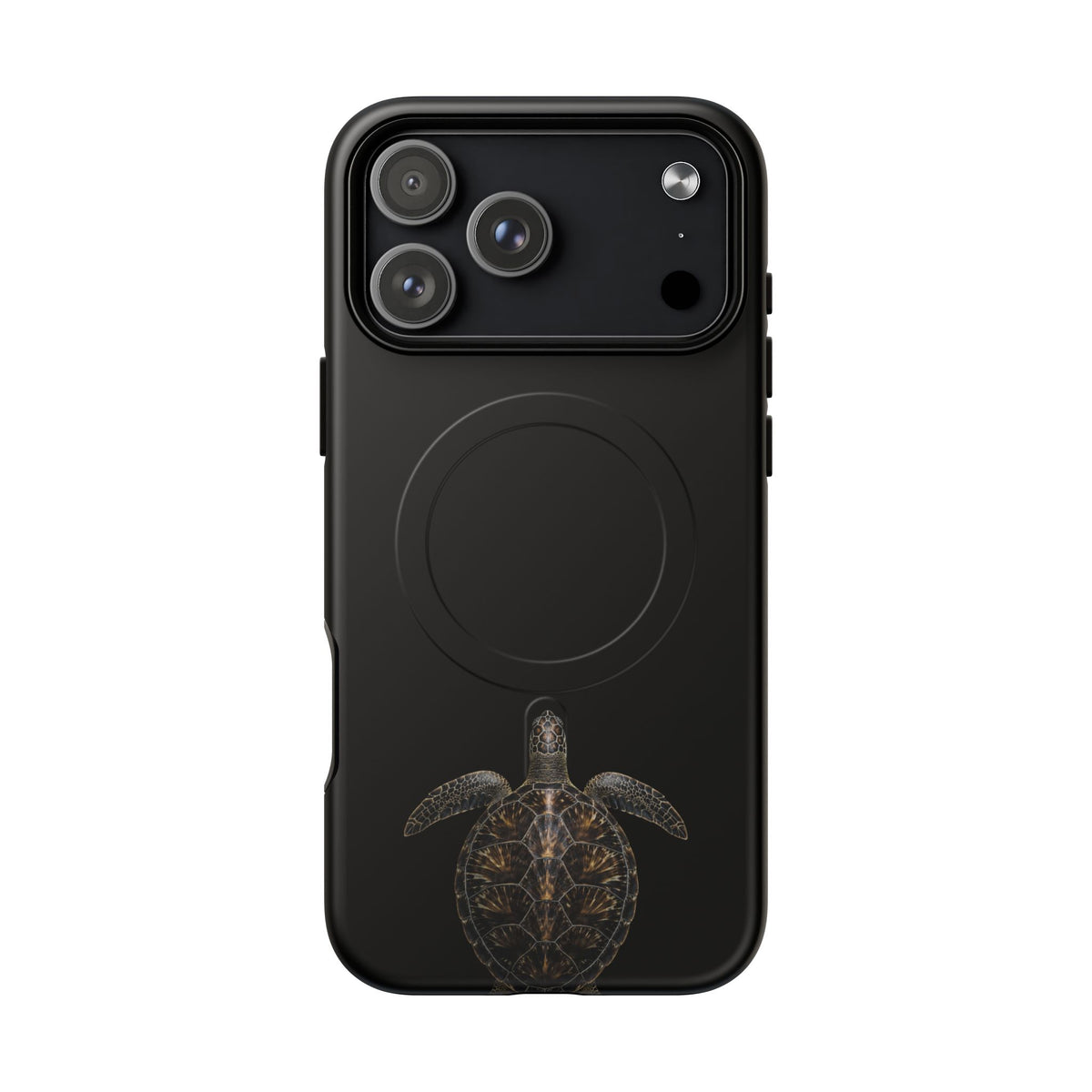 Midnight Turtle