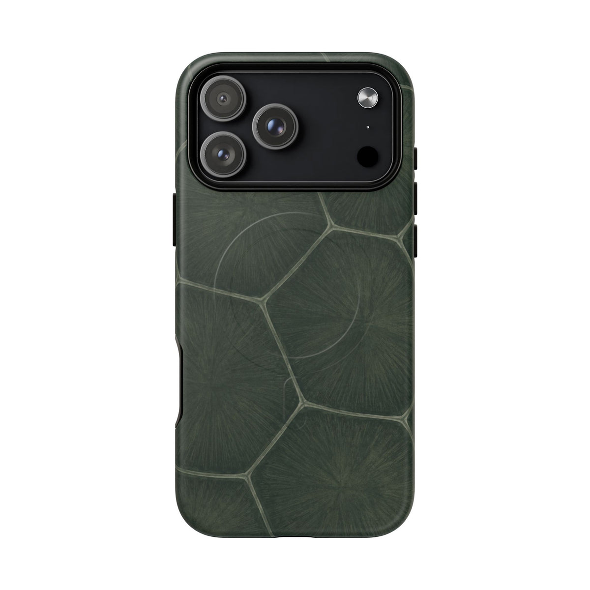 Turtle Pattern