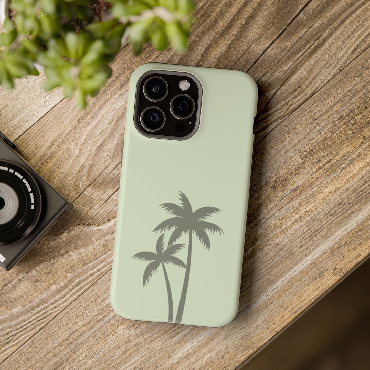 Palm