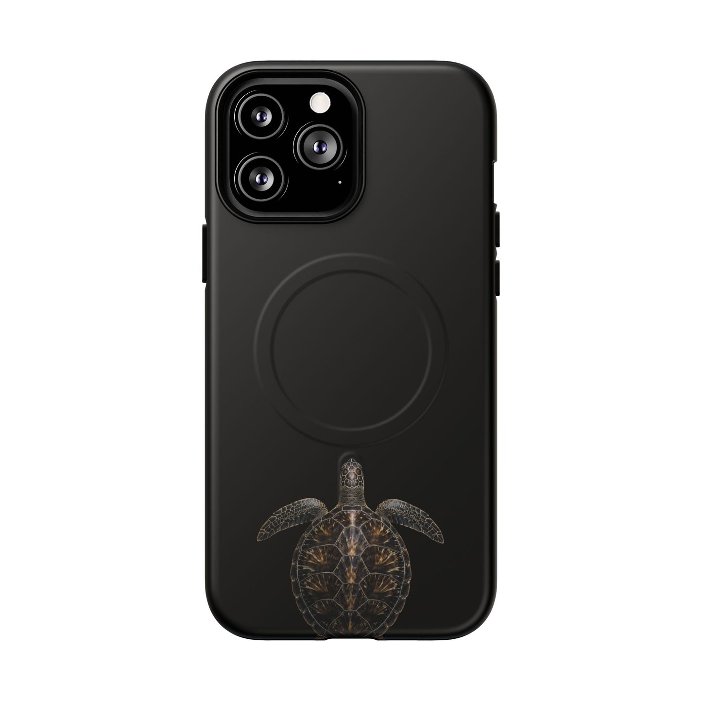 Midnight Turtle