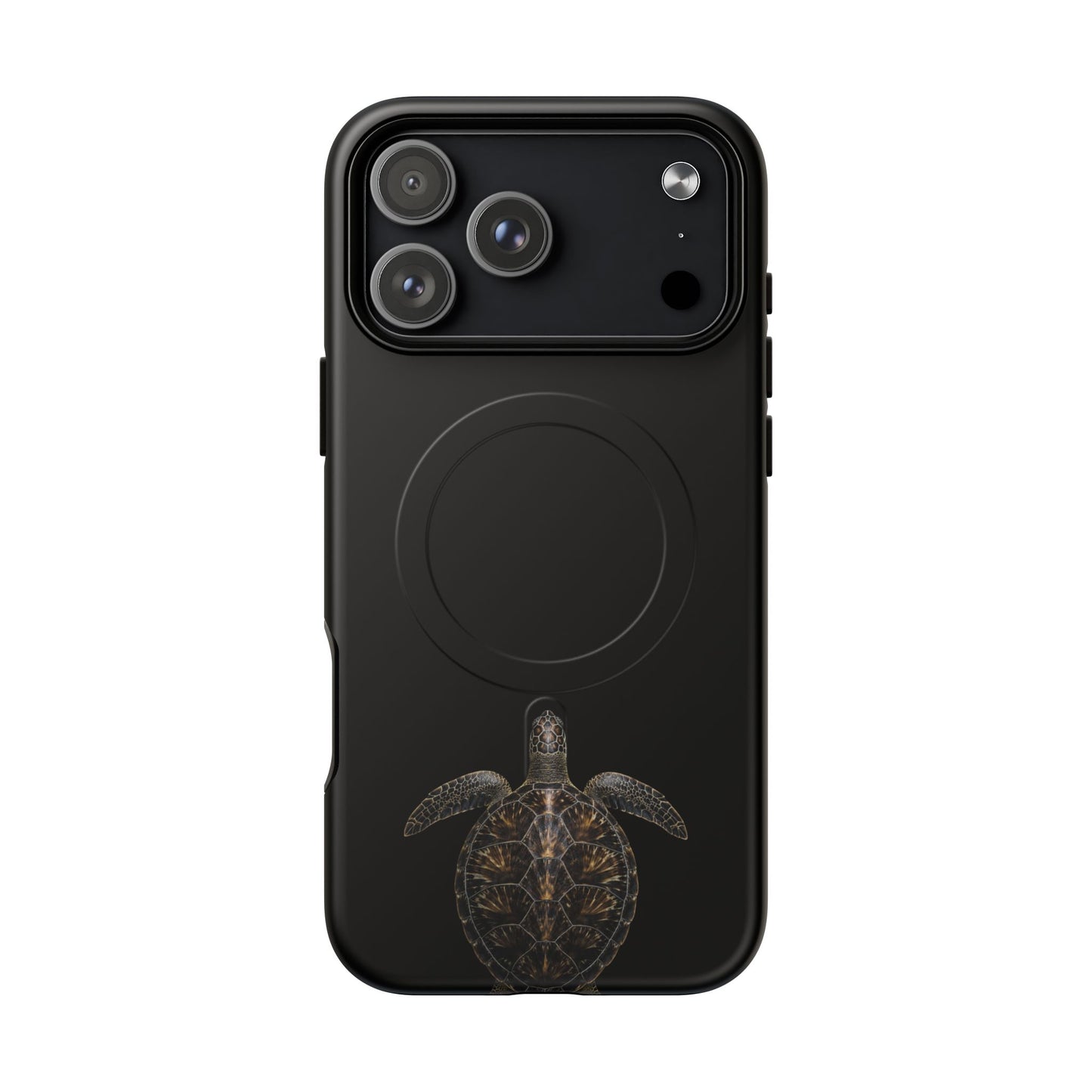 Midnight Turtle