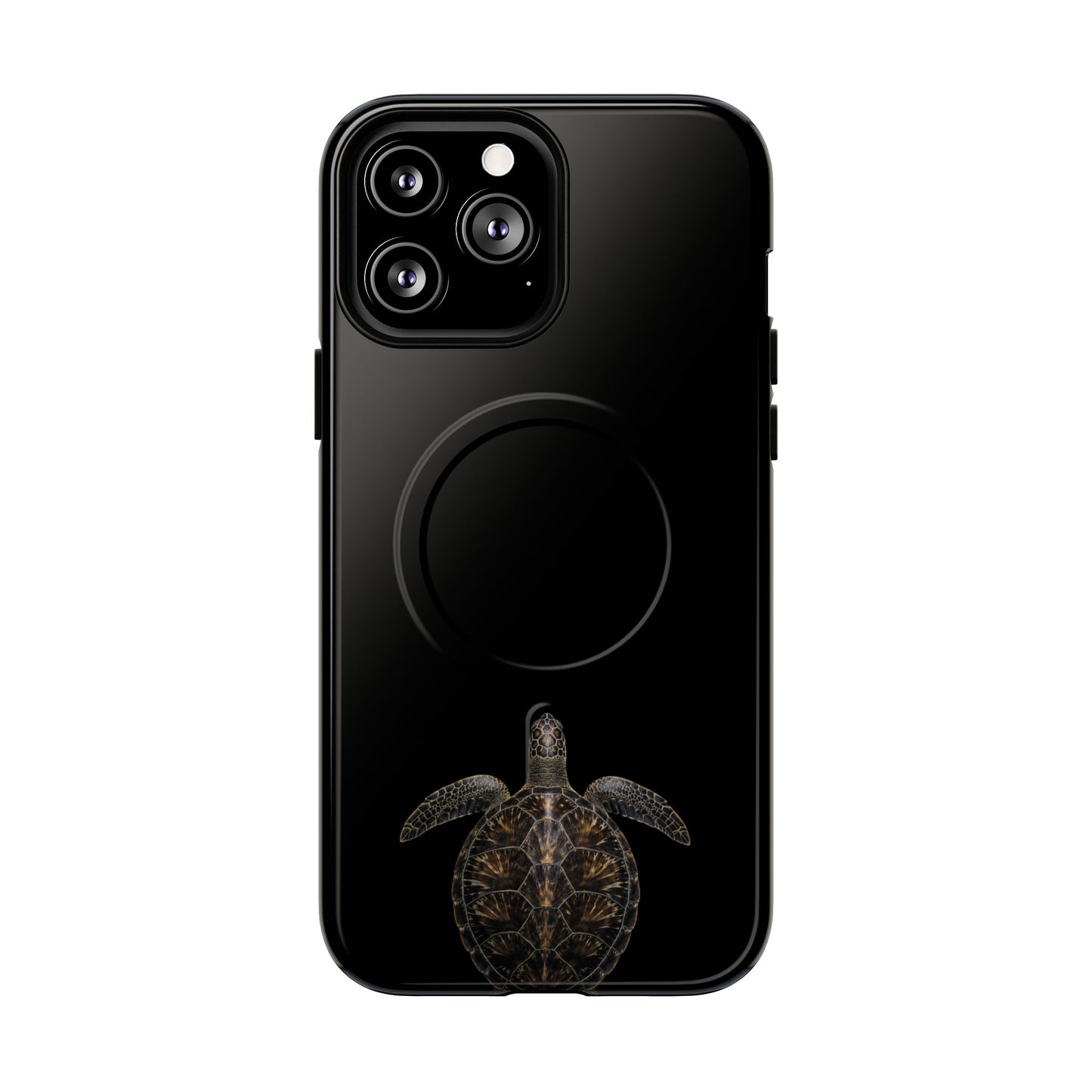 Midnight Turtle