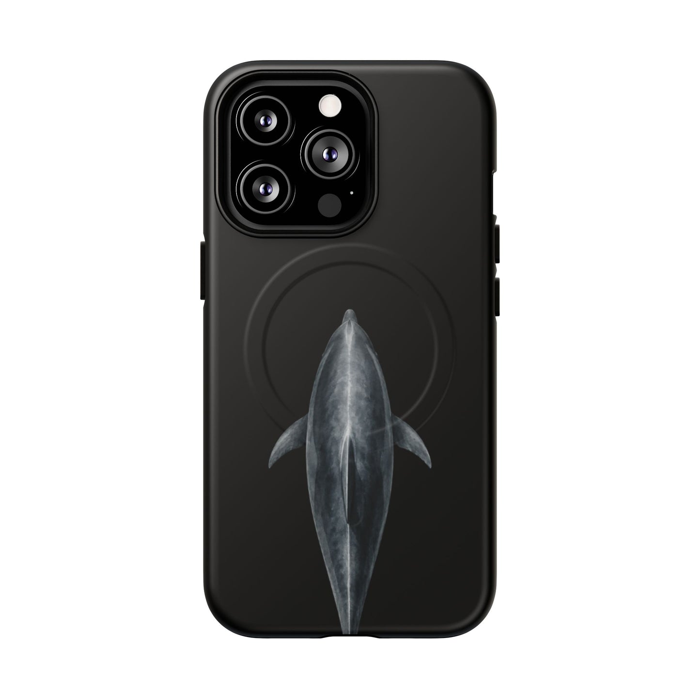 Silent Dolphin