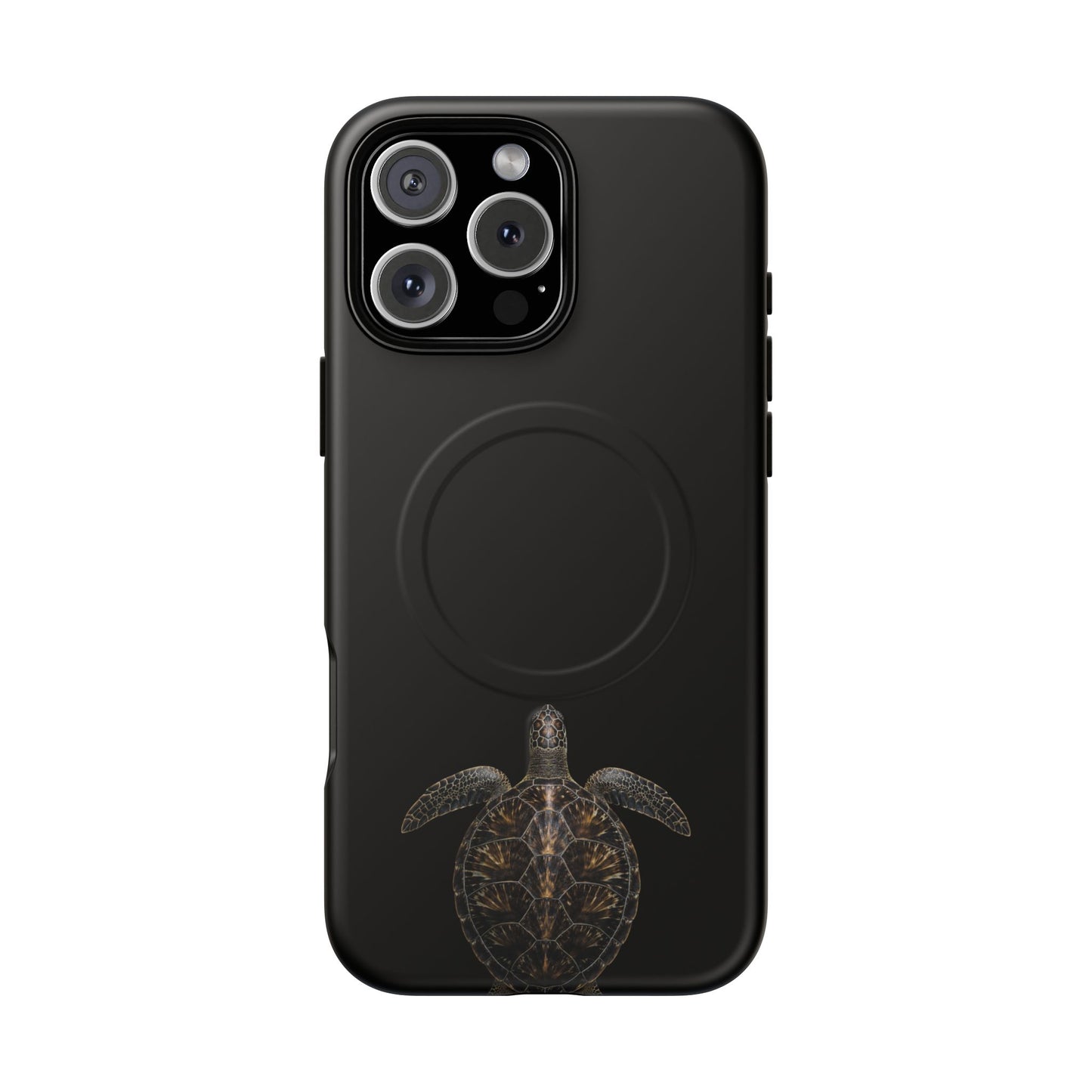 Midnight Turtle
