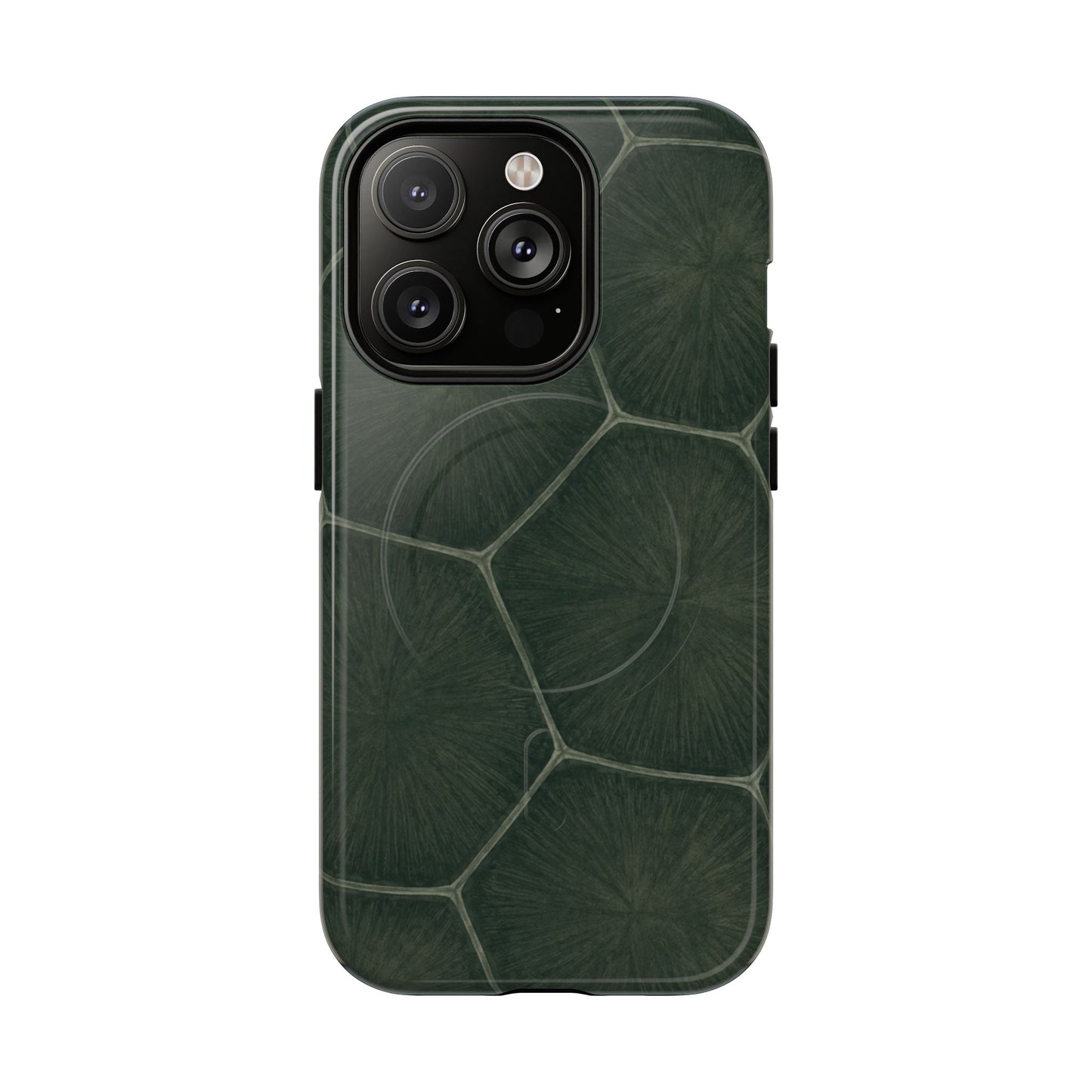 Turtle Pattern