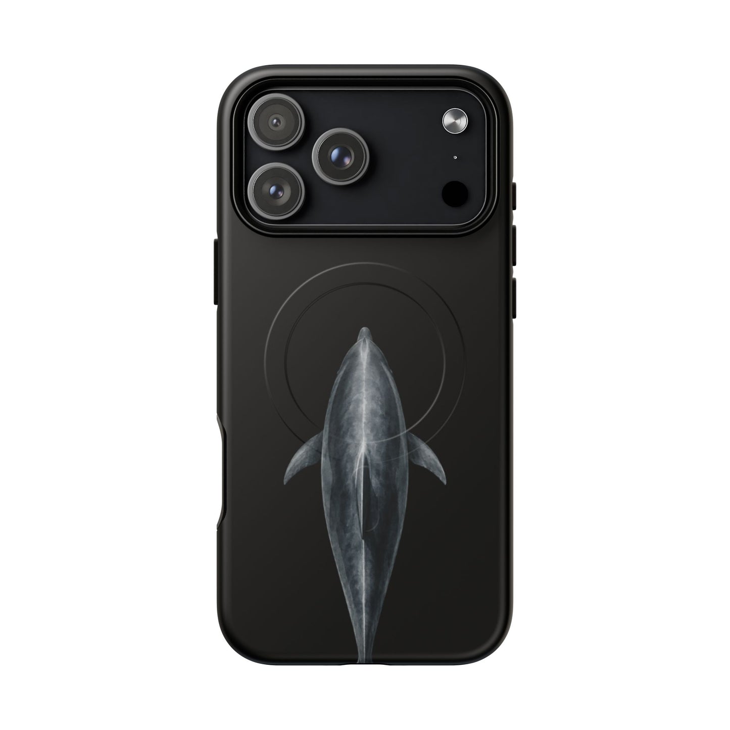 Silent Dolphin