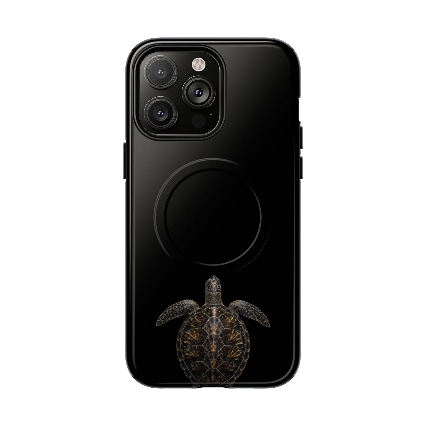 Midnight Turtle