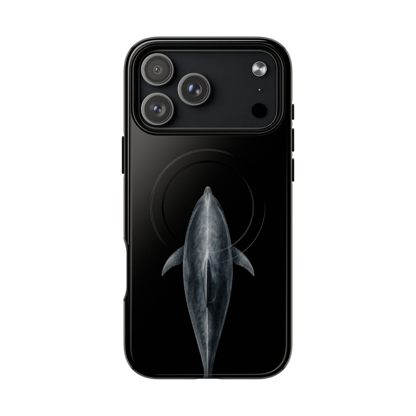 Silent Dolphin