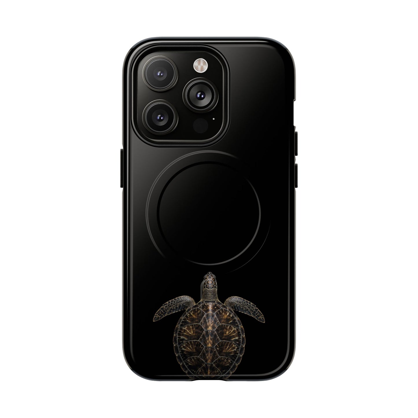 Midnight Turtle