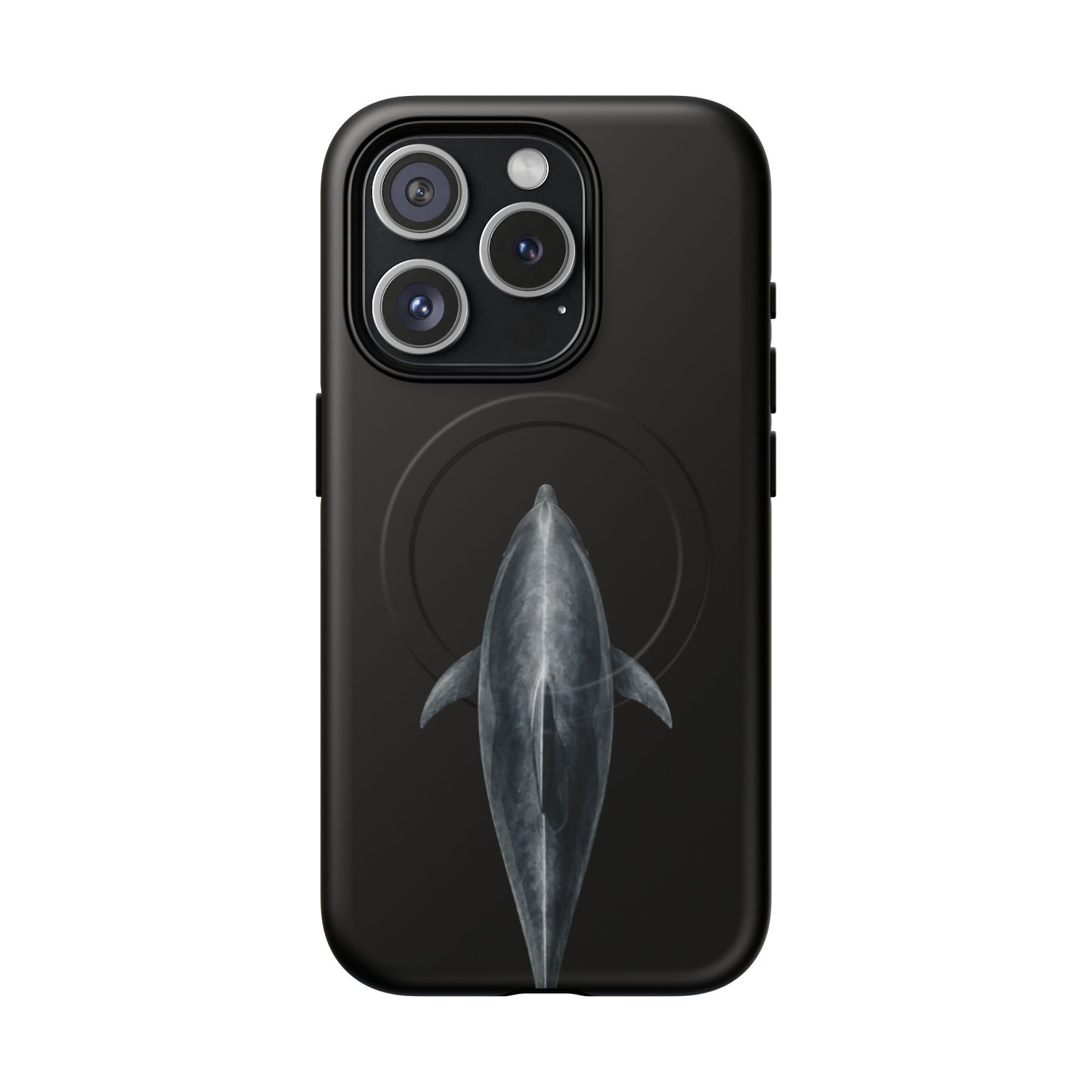 Silent Dolphin