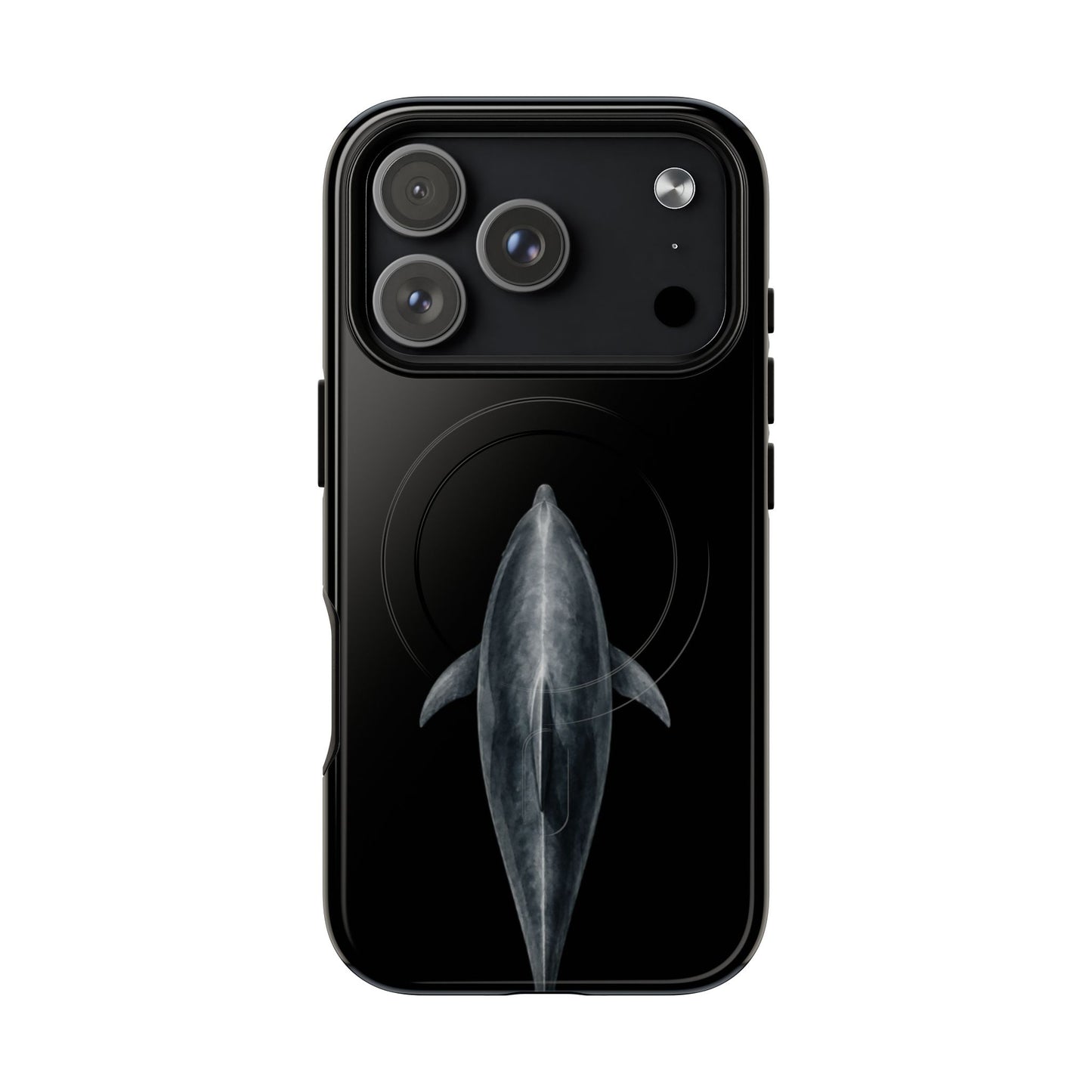 Silent Dolphin