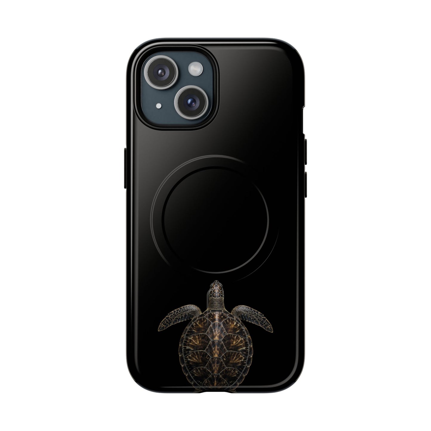 Midnight Turtle