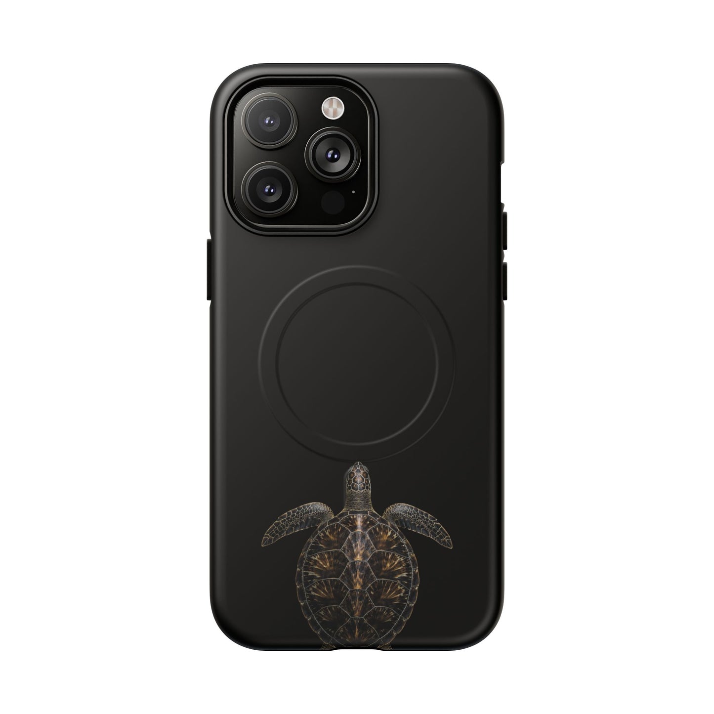Midnight Turtle
