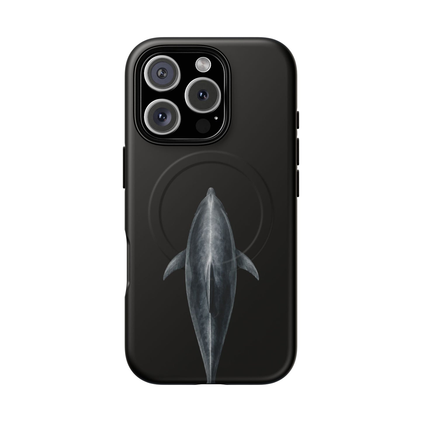 Silent Dolphin