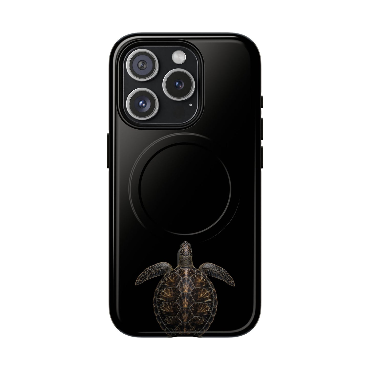 Midnight Turtle