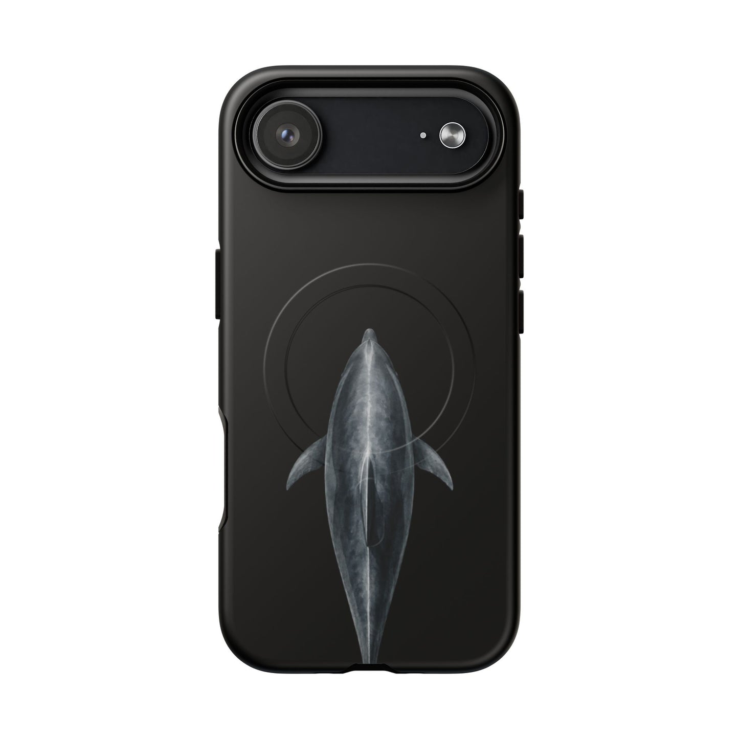Silent Dolphin