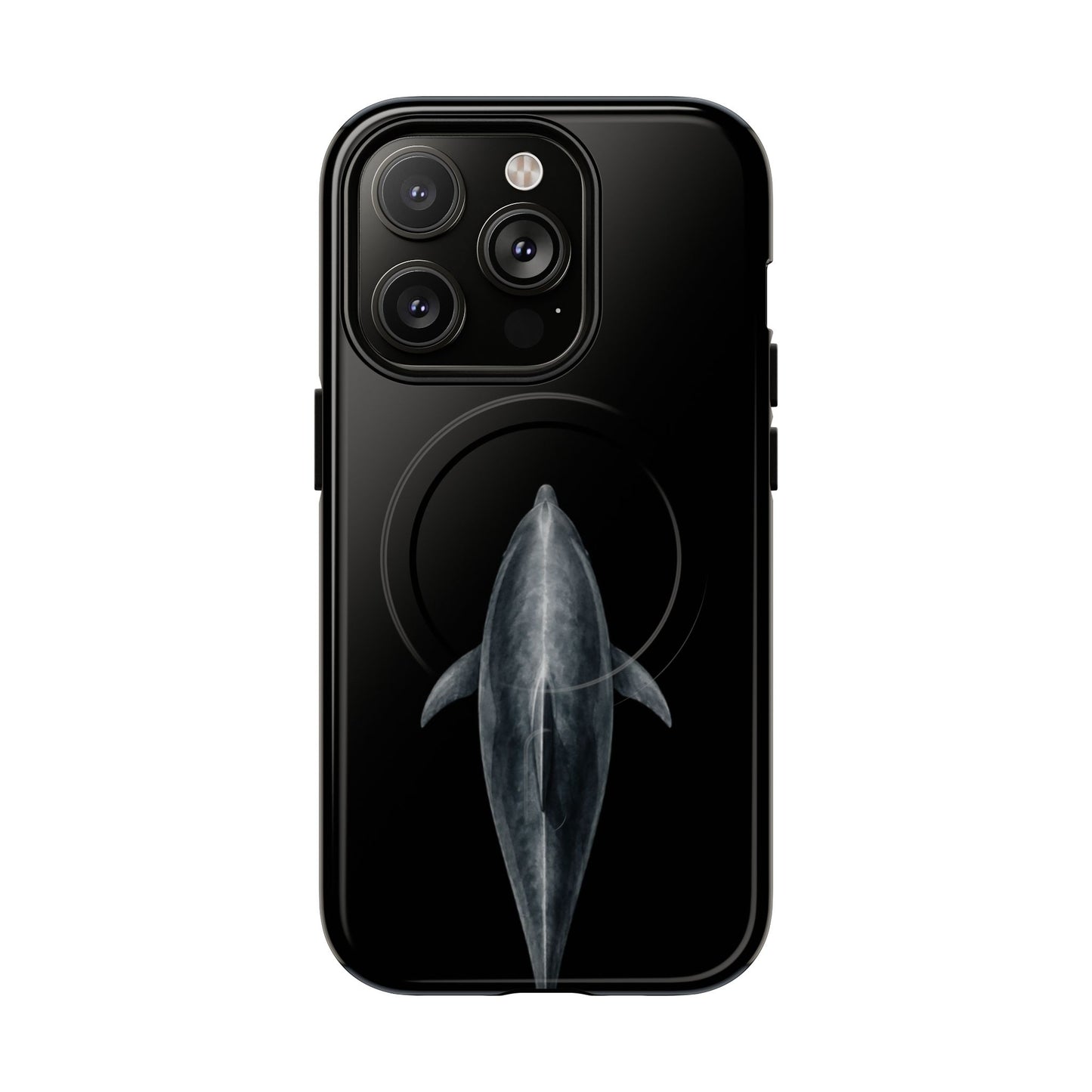 Silent Dolphin