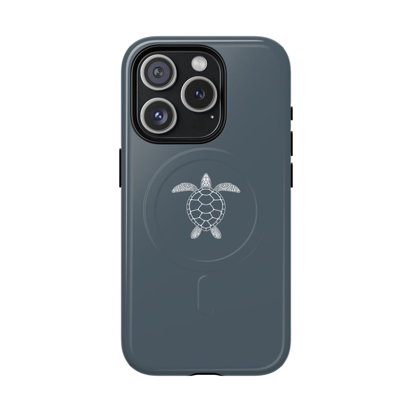 Silent Turtle
