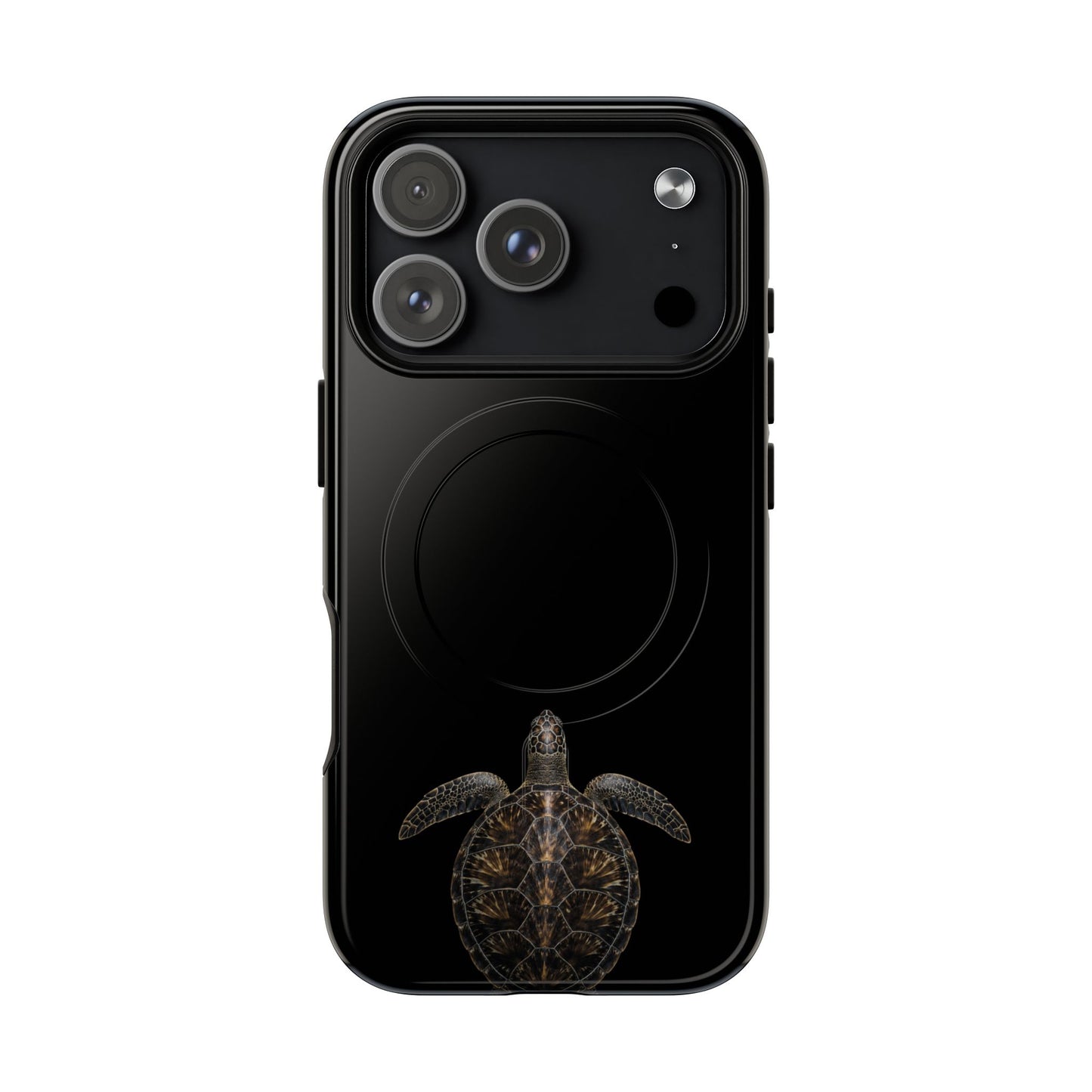 Midnight Turtle