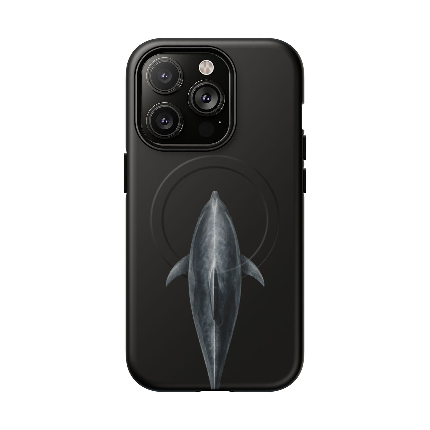 Silent Dolphin