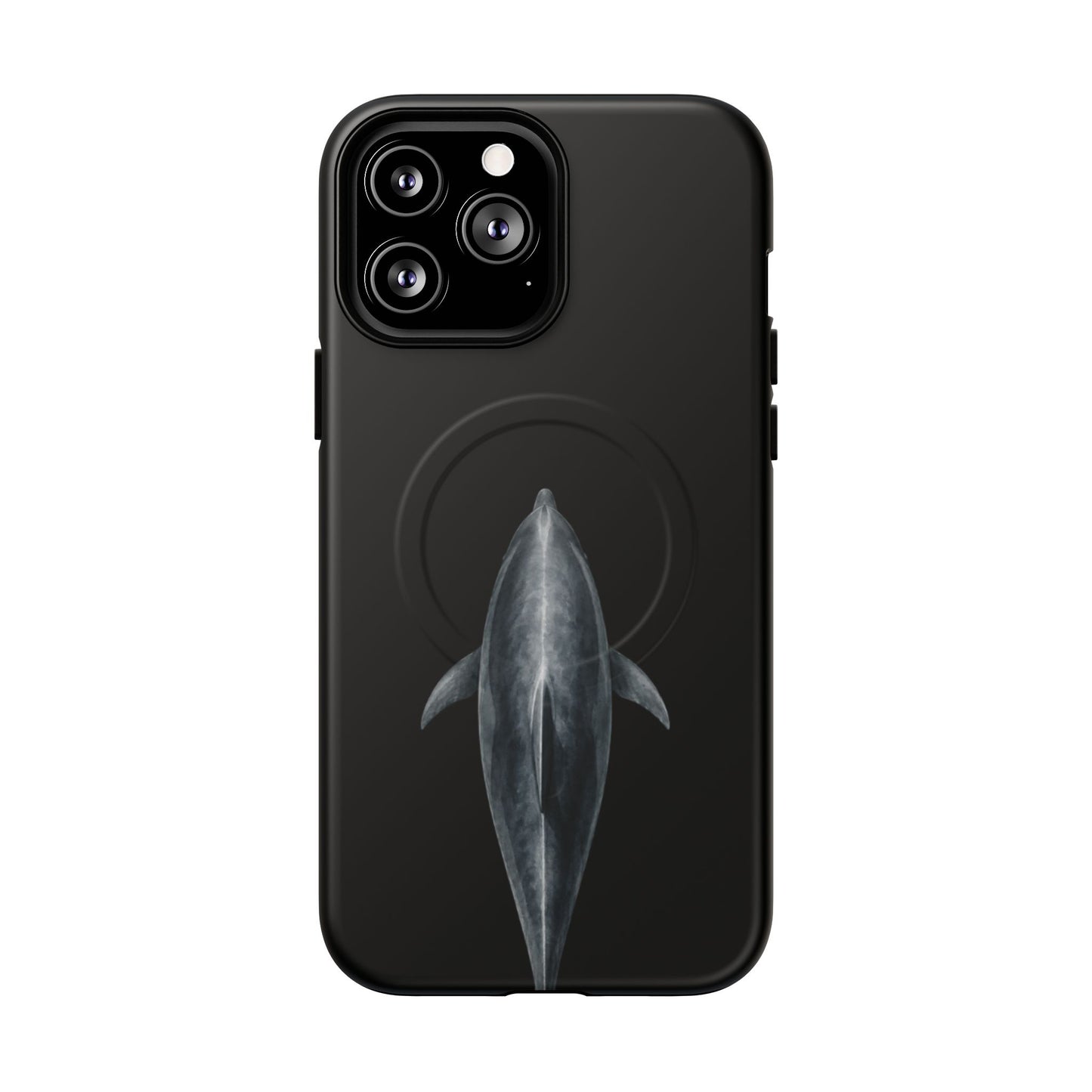 Silent Dolphin