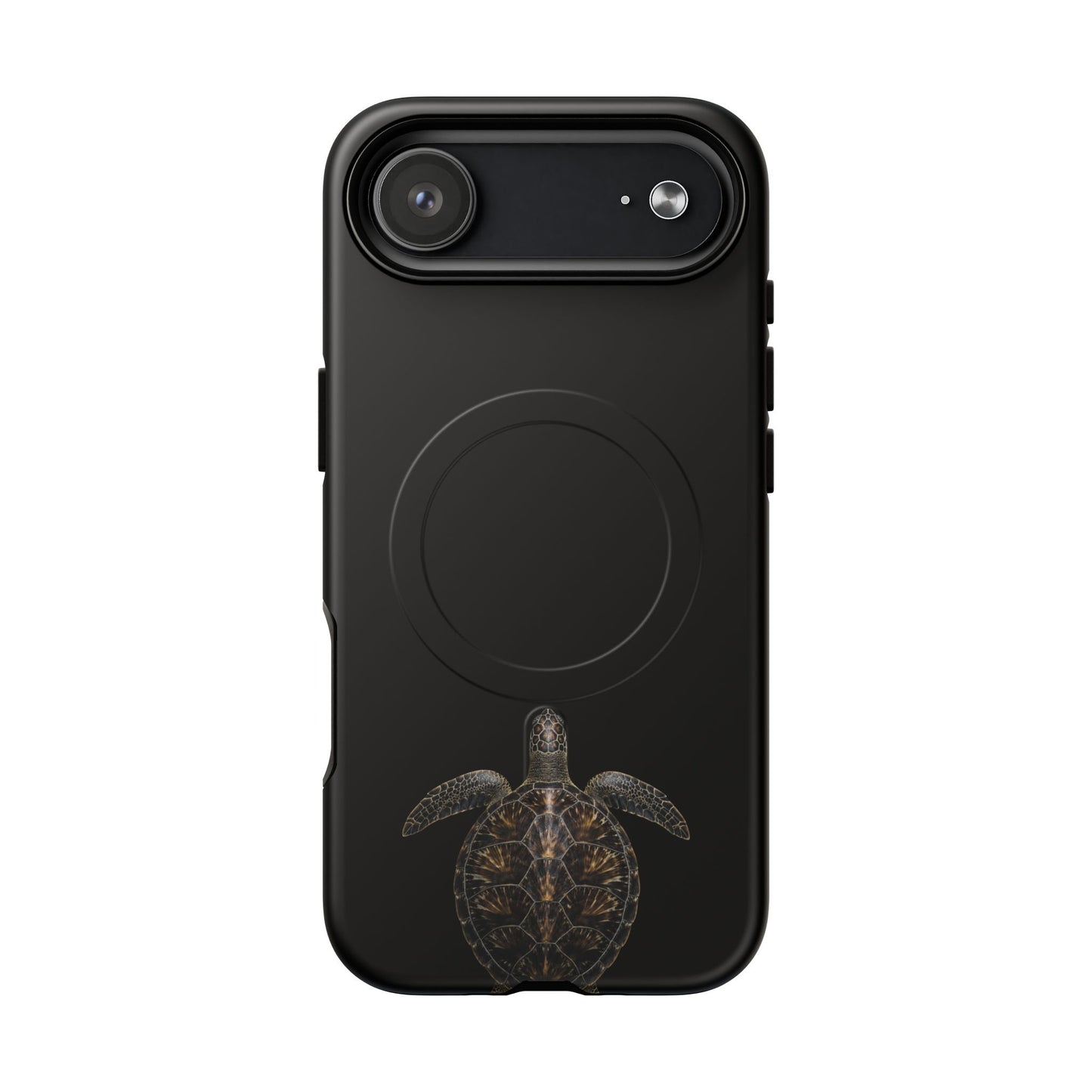 Midnight Turtle