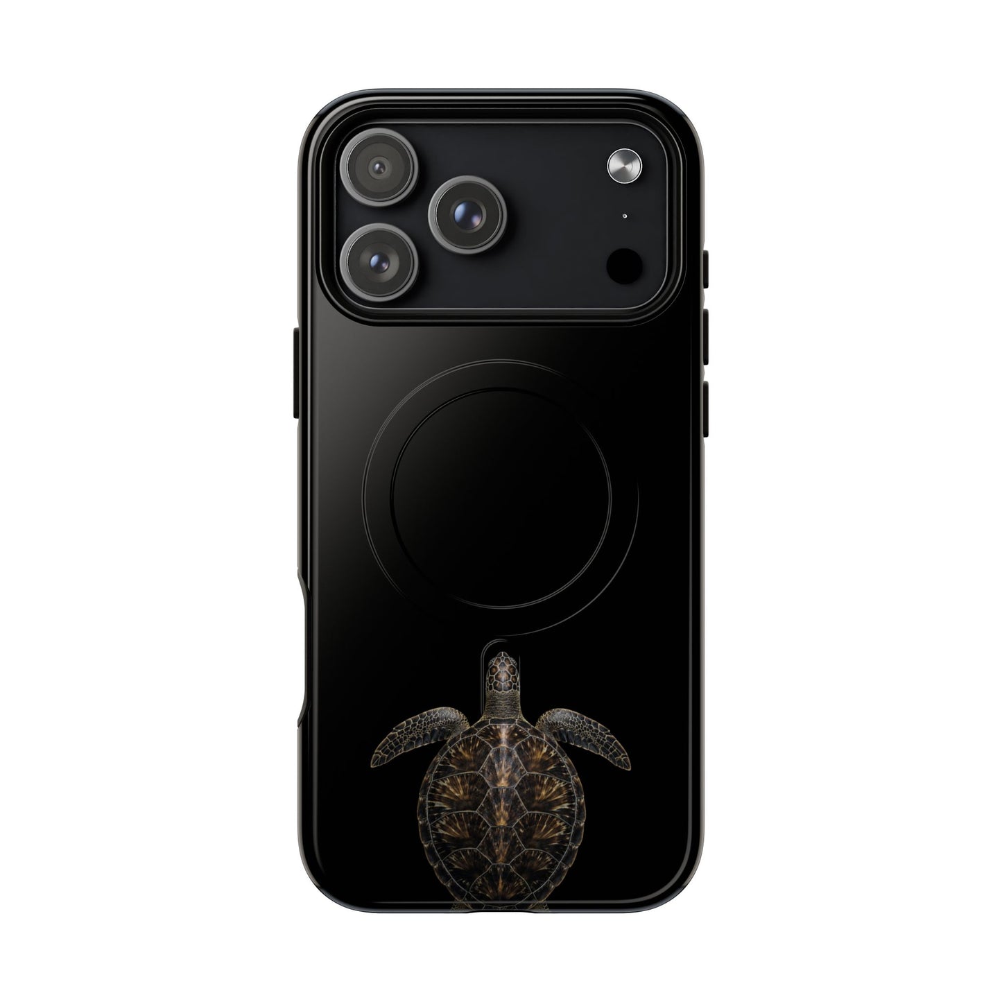 Midnight Turtle