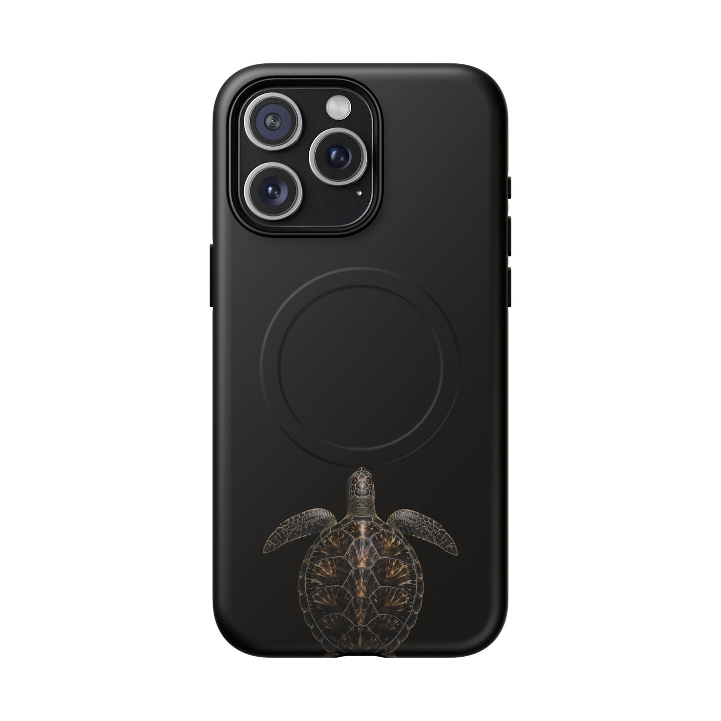 Midnight Turtle
