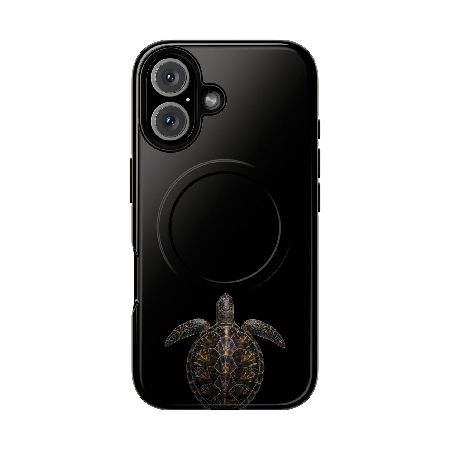 Midnight Turtle