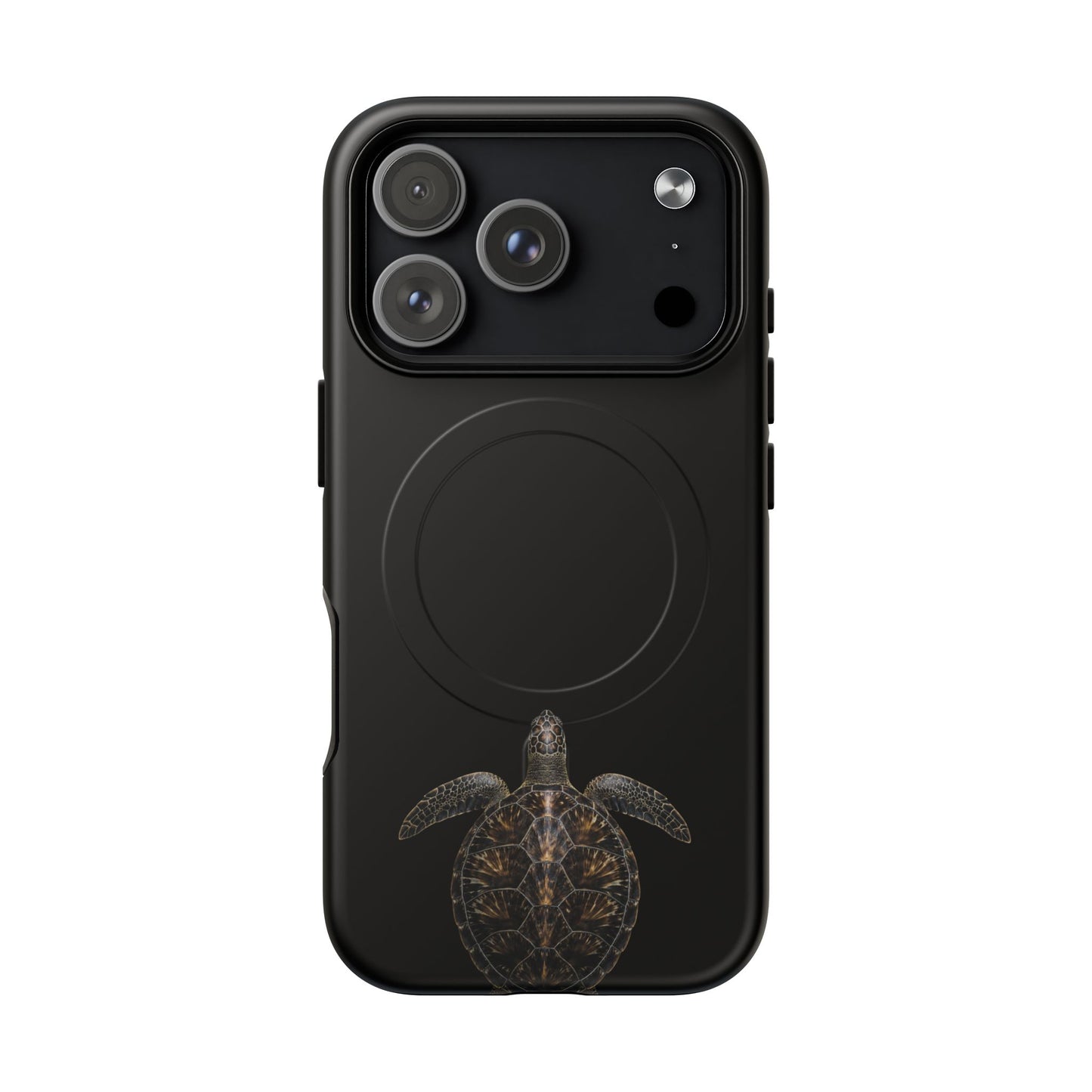 Midnight Turtle
