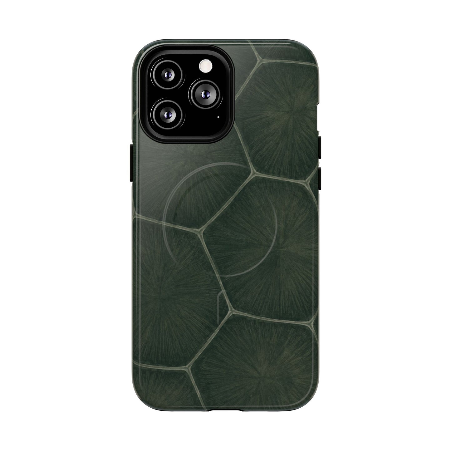 Turtle Pattern