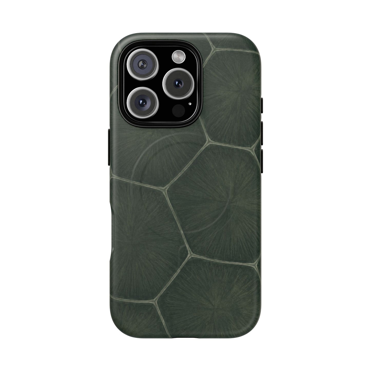 Turtle Pattern