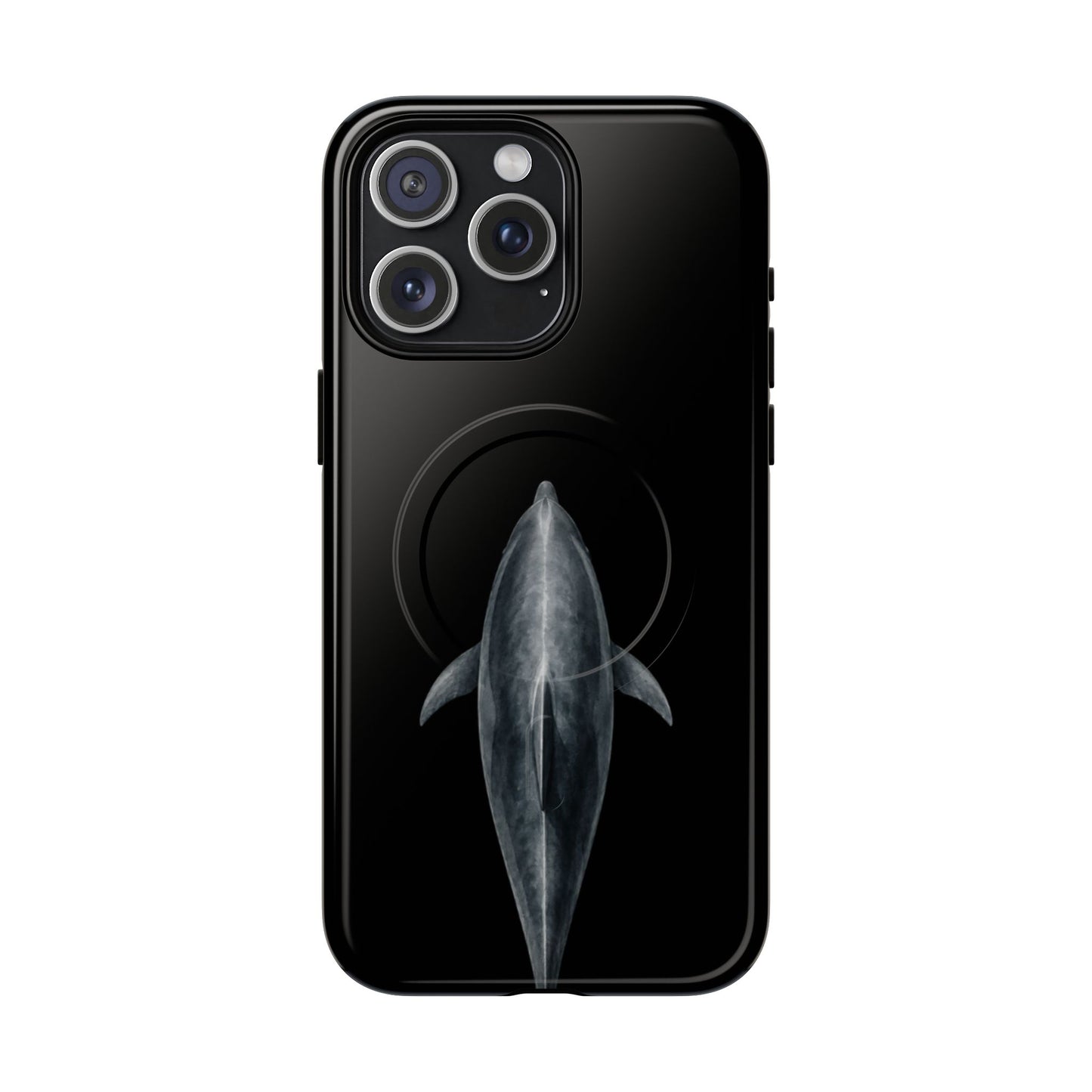 Silent Dolphin