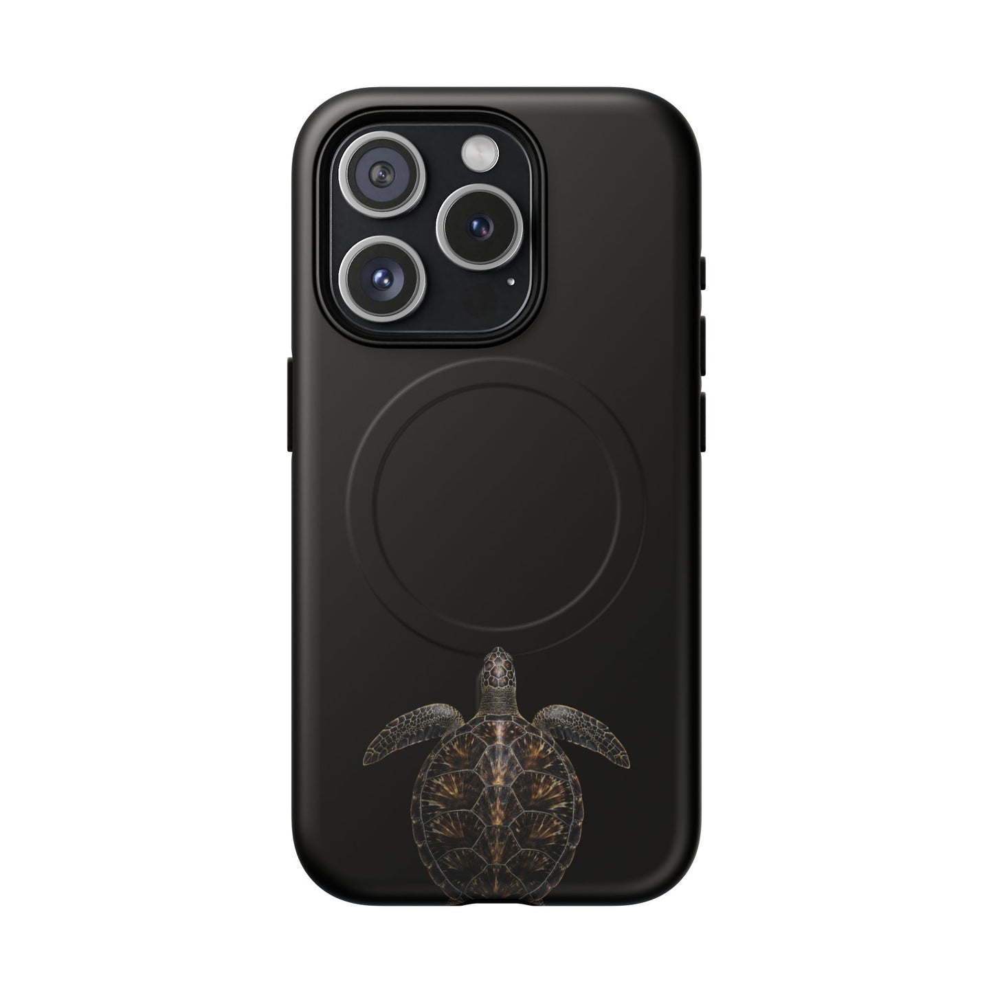 Midnight Turtle
