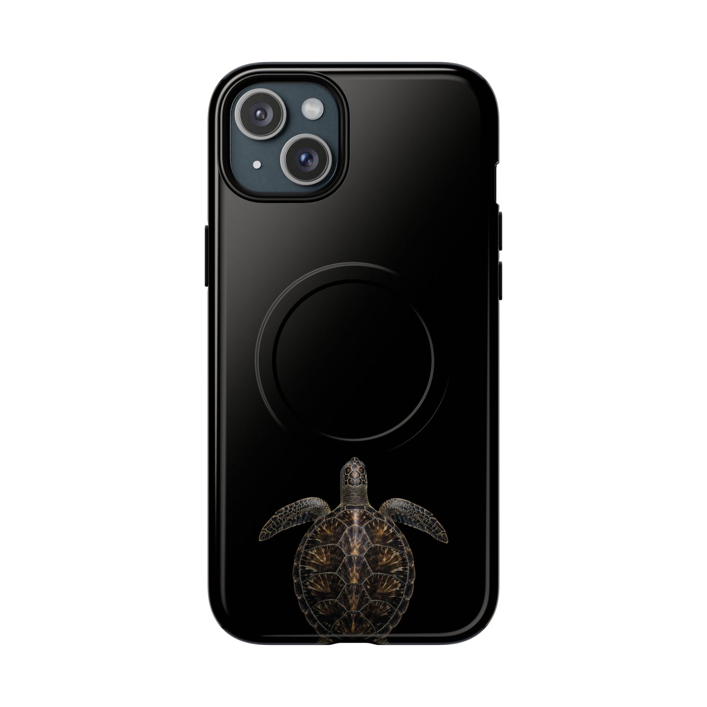 Midnight Turtle