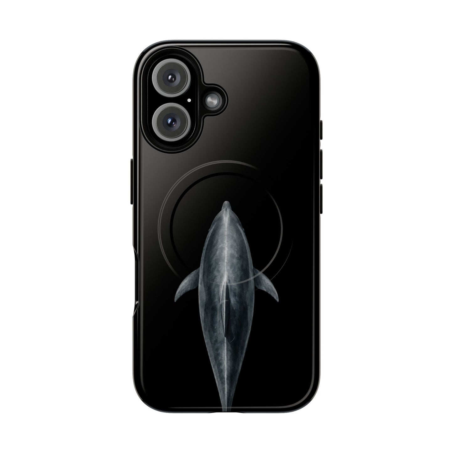 Silent Dolphin