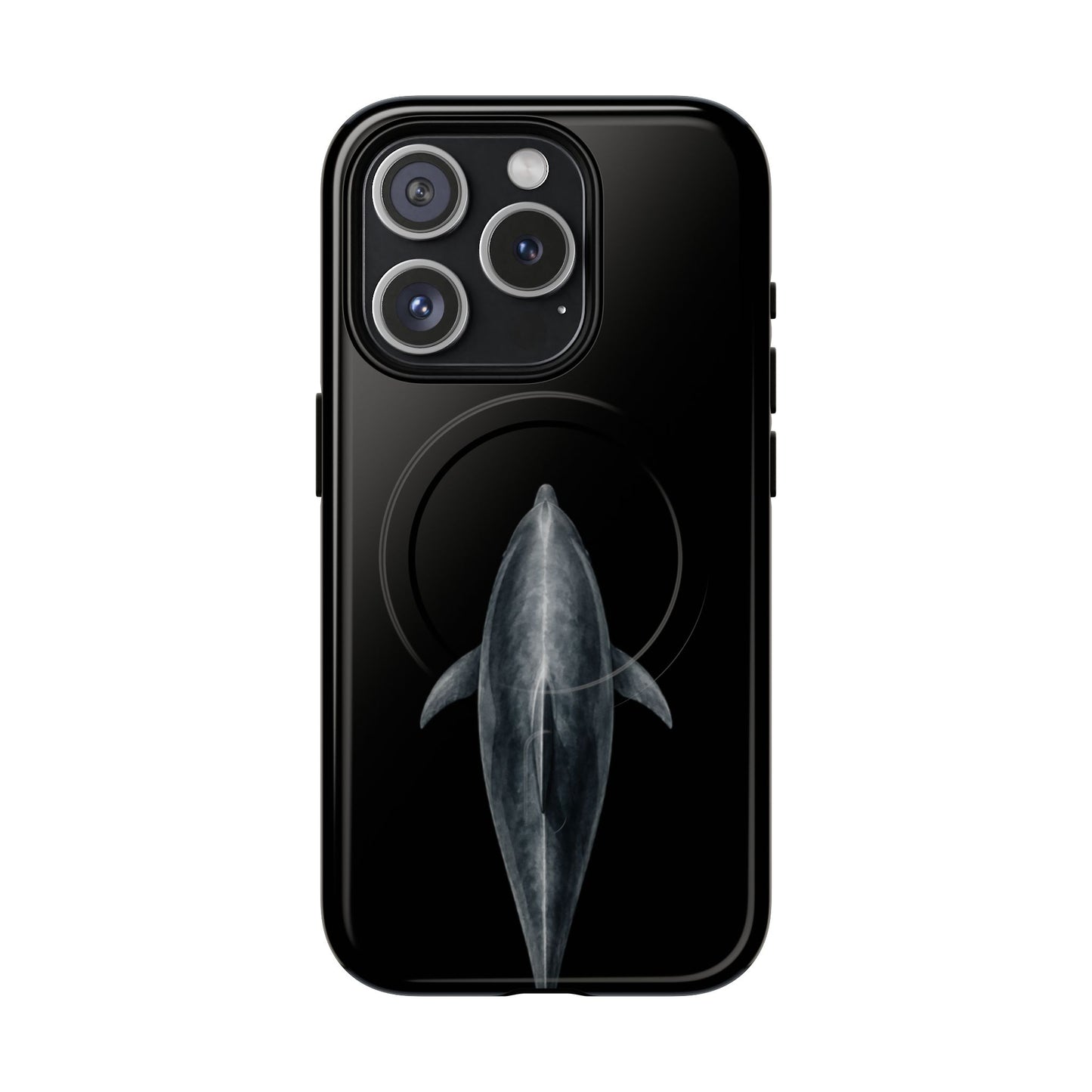 Silent Dolphin