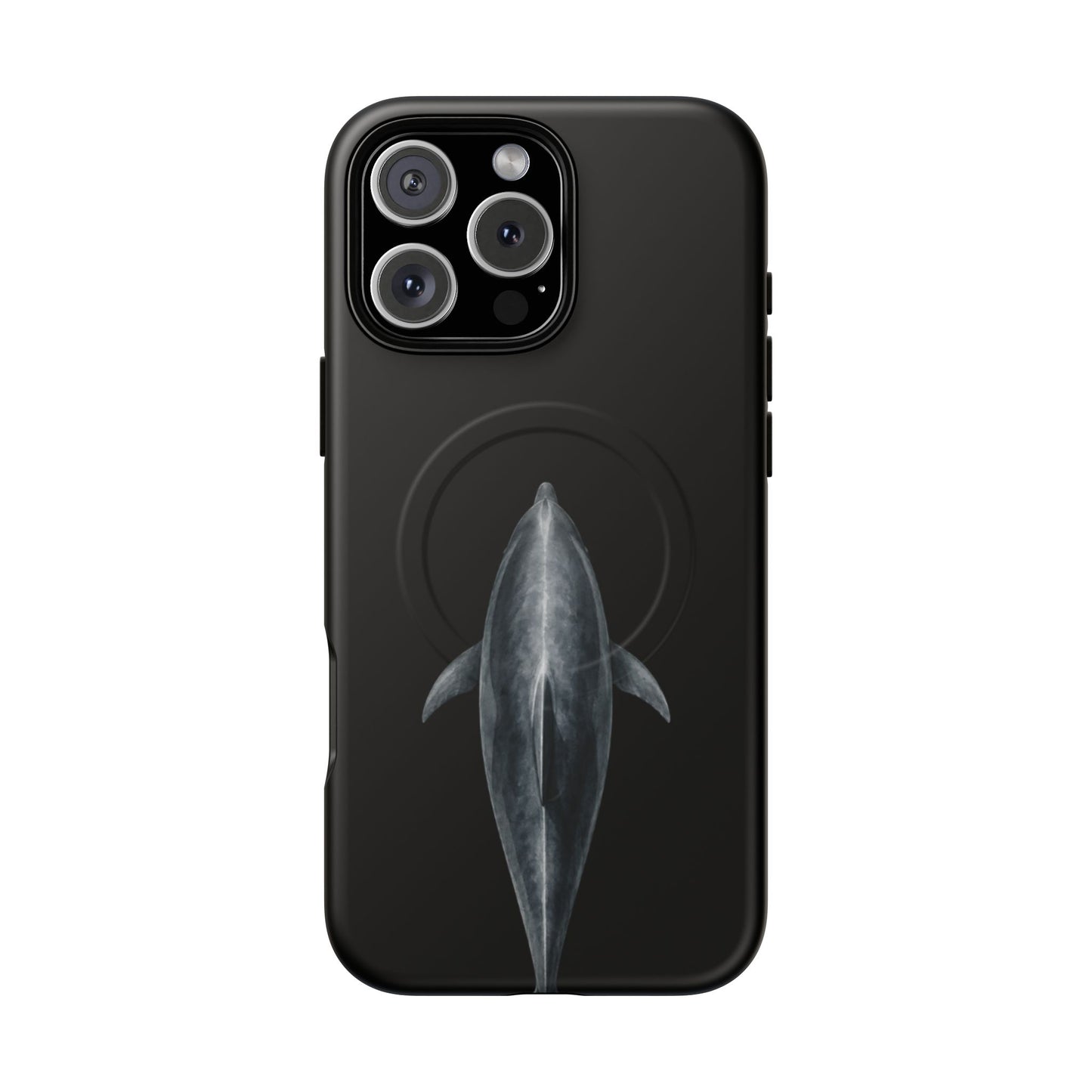 Silent Dolphin