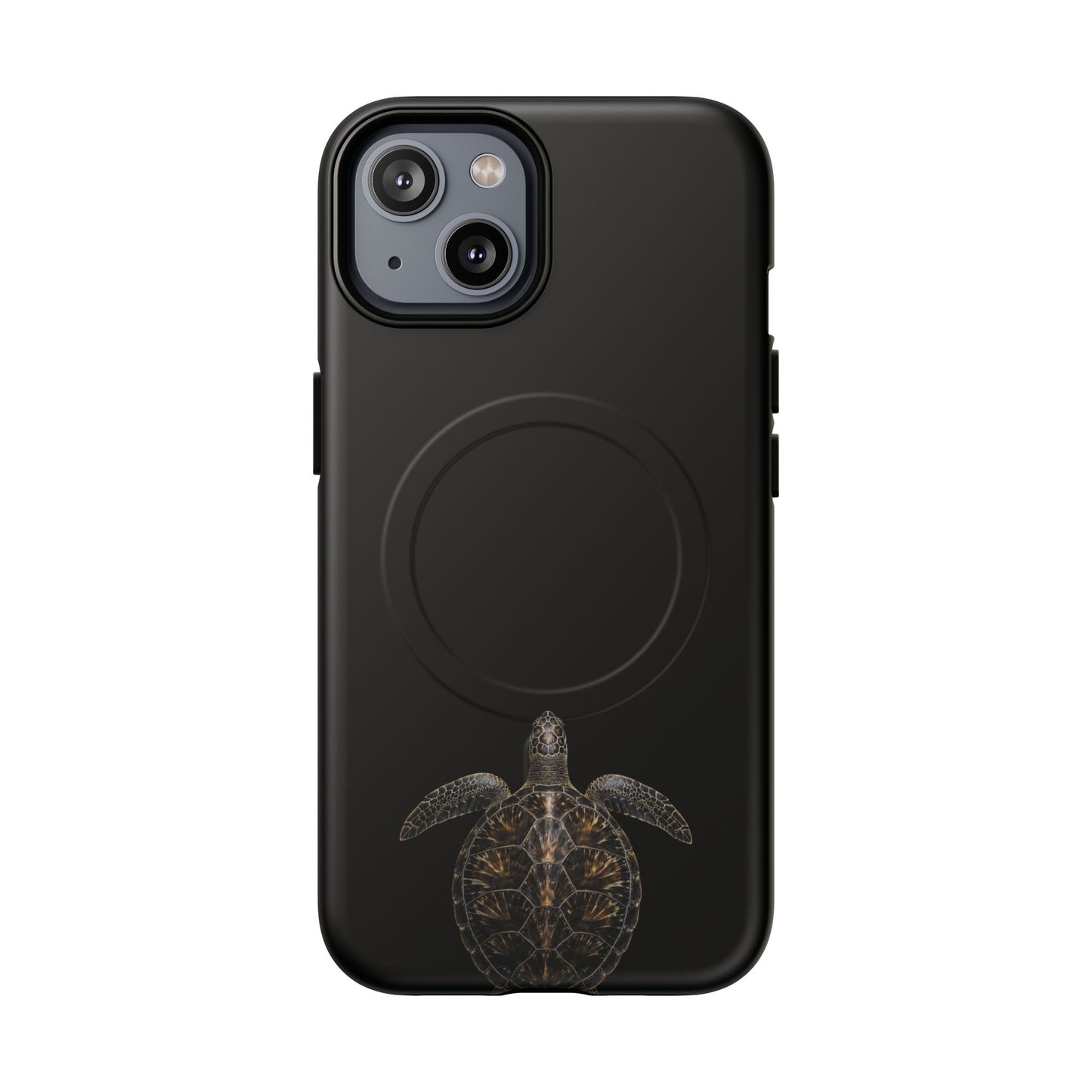 Midnight Turtle