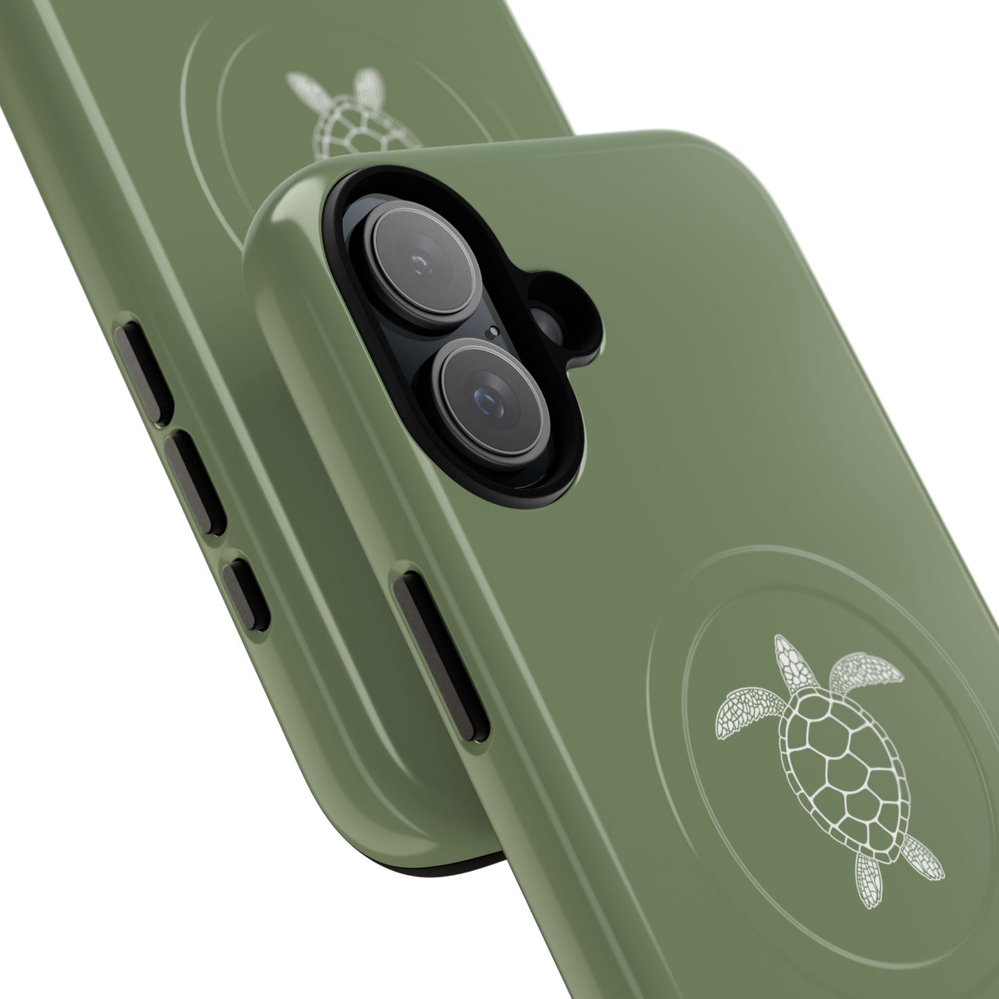 Silent Turtle