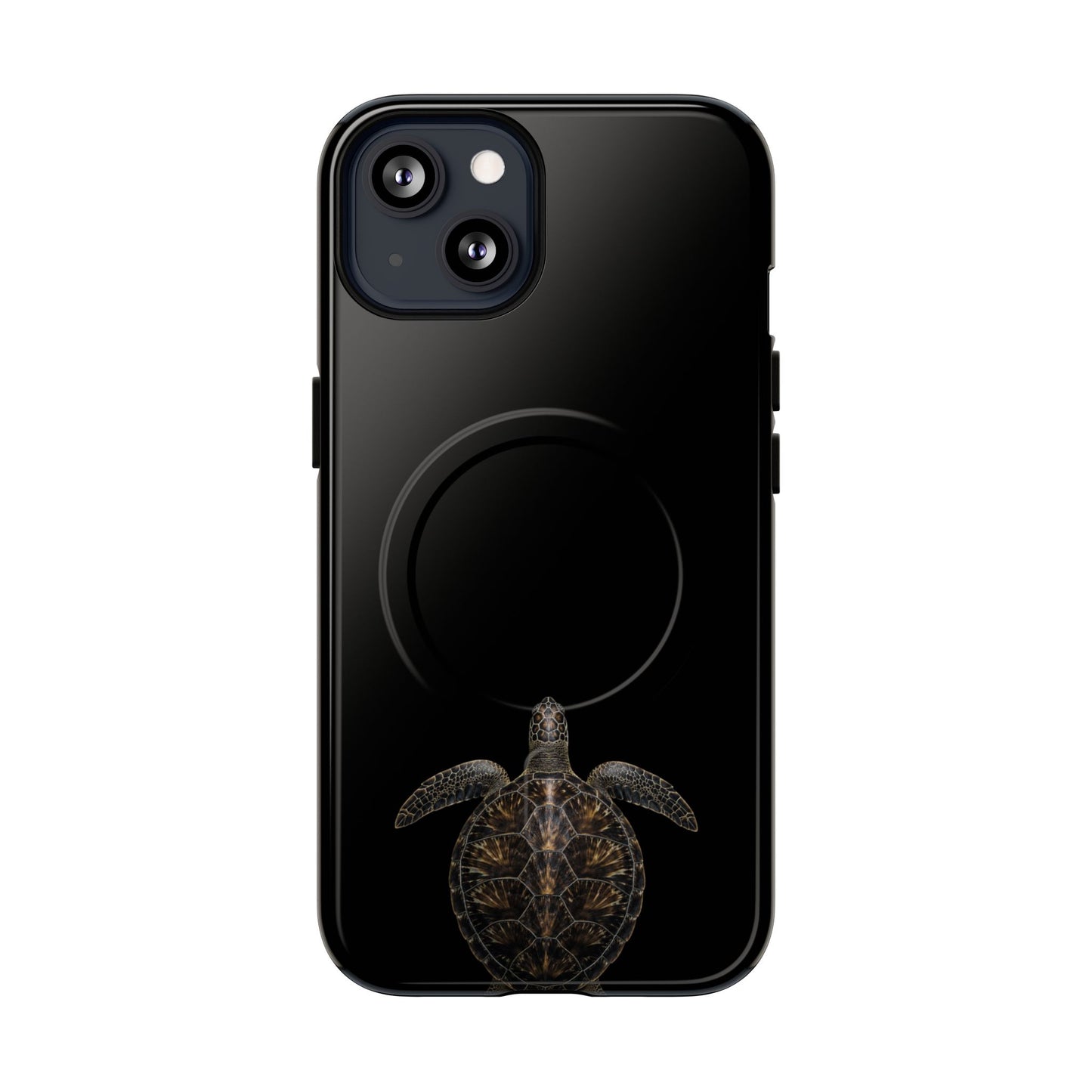 Midnight Turtle