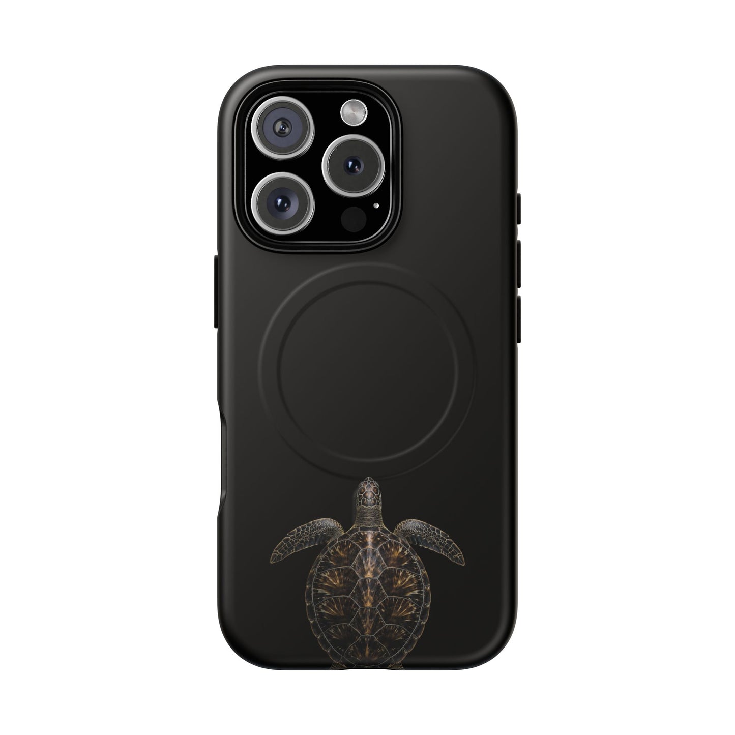 Midnight Turtle