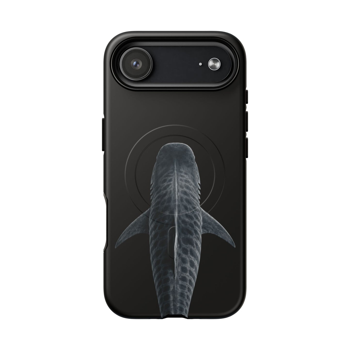 Silent Tiger Shark