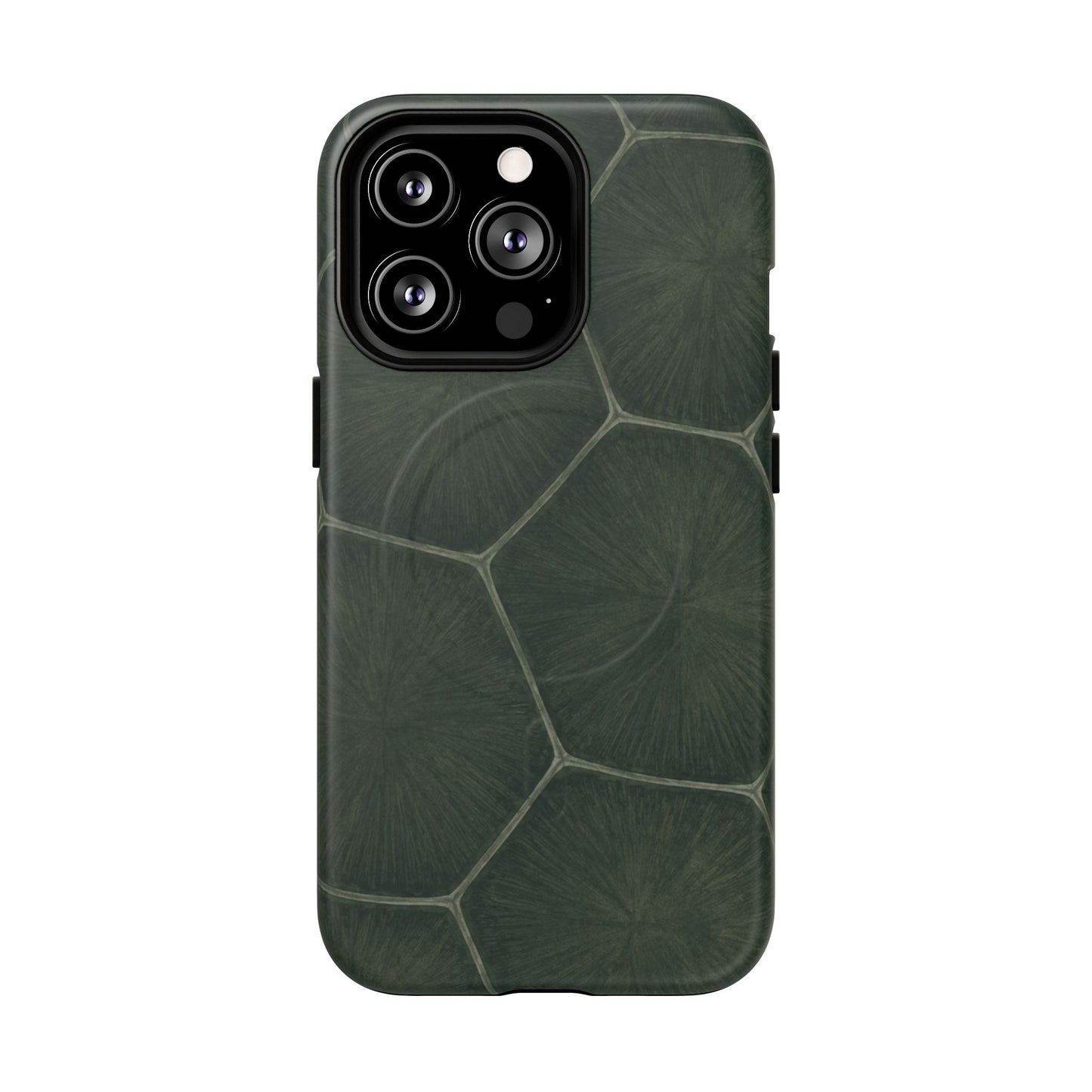 Turtle Pattern