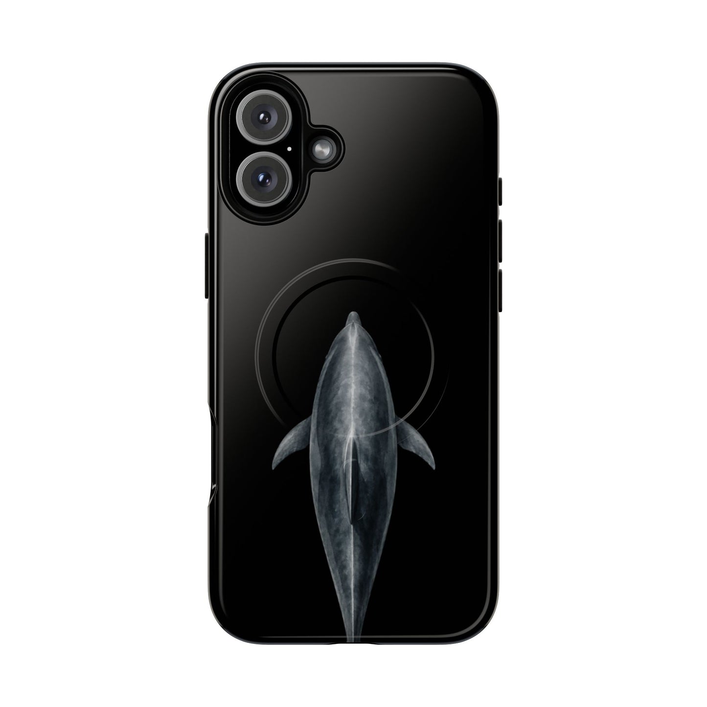 Silent Dolphin