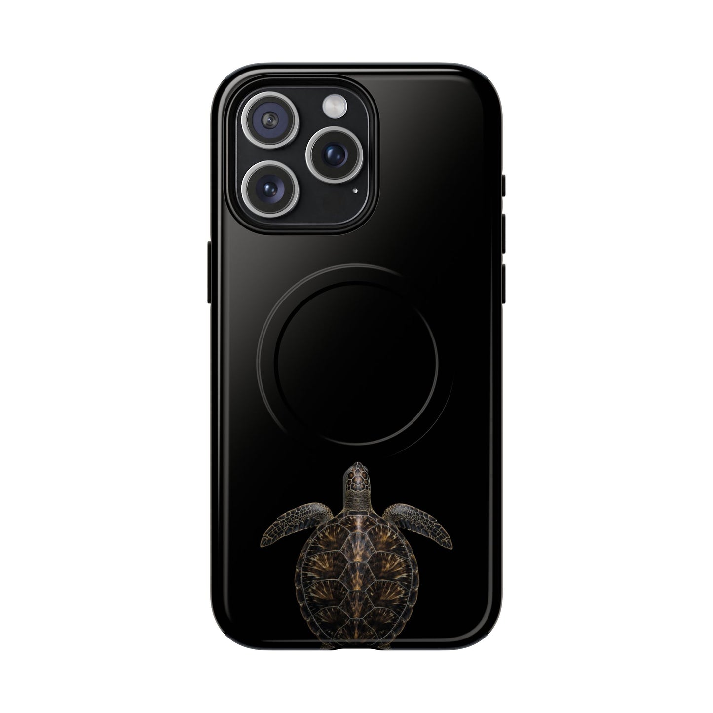 Midnight Turtle
