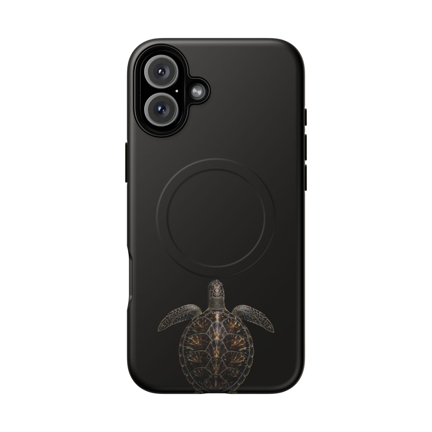Midnight Turtle