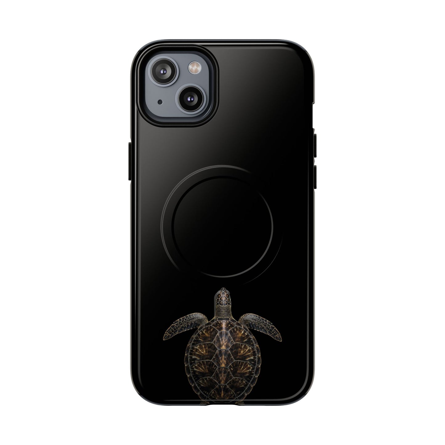 Midnight Turtle