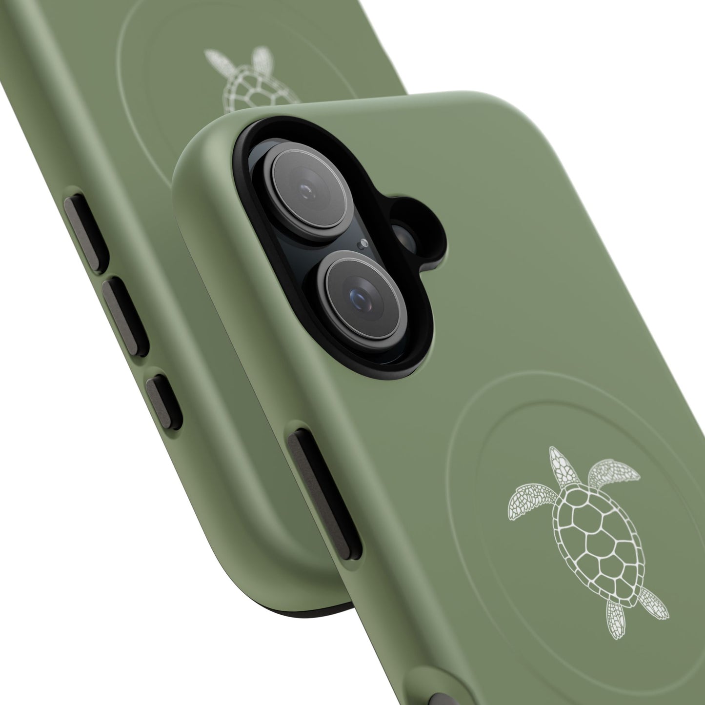 Silent Turtle